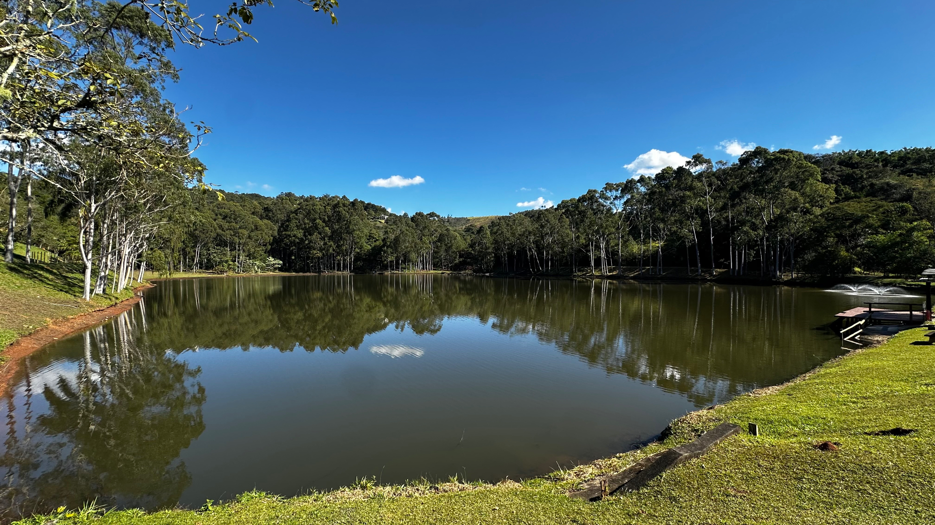 Lago cercado por mata nativa